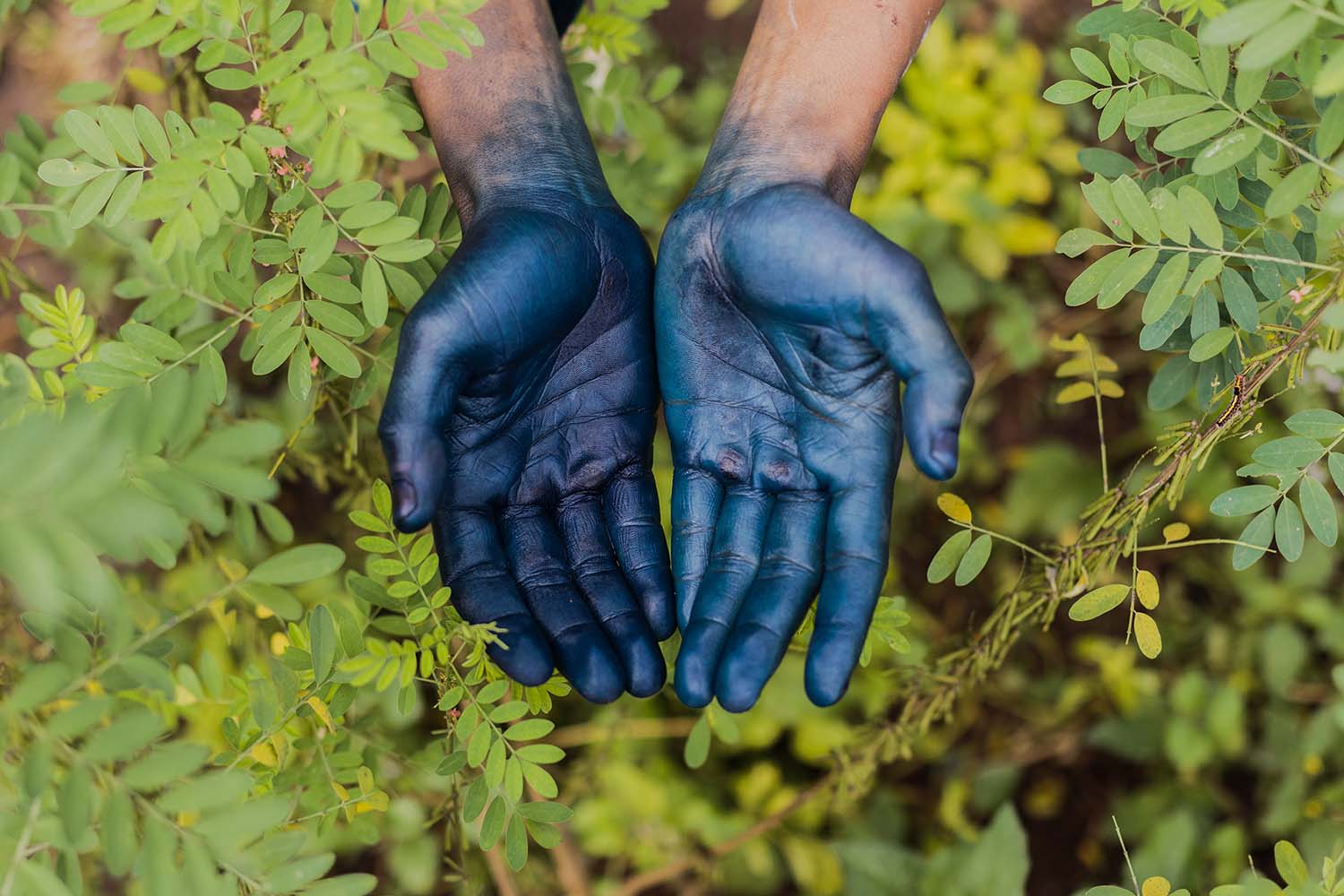 Why we use natural dyes