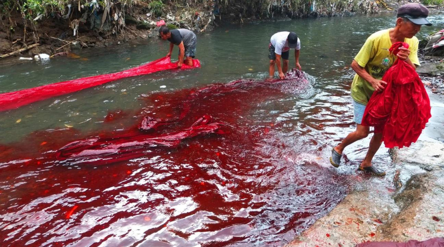 Protecting our Rivers, Protecting Ourselves